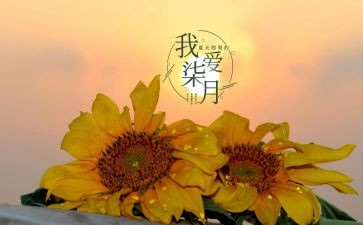 七月份的工作总结最新8篇