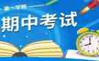 小学期中总结报告6篇