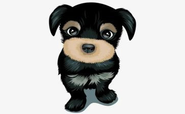 导盲犬迪克读后感8篇