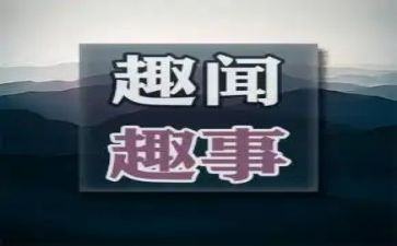作文趣事四百字作文8篇