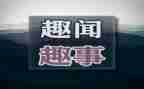 作文趣事四百字作文8篇