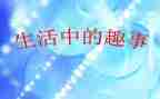 新年趣事的作文8篇