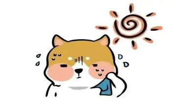 热血教师电影观后感5篇