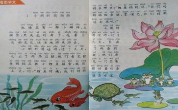 2024个人教师工作总结范文最新7篇