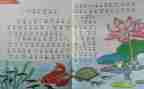 2024个人教师工作总结范文最新7篇