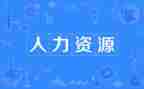 2024年人力工作总结优质8篇