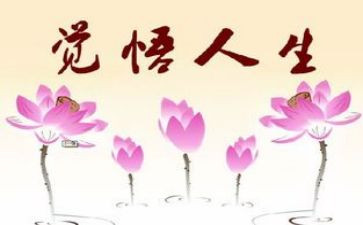 人生由我心得体会优质6篇