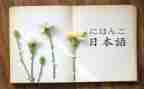 日语心得体会5篇