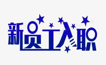 入职个人工作总结报告5篇