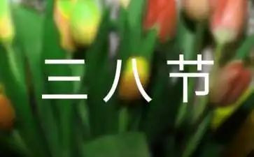 三八妇女节活动方案参考8篇