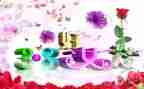 三八妇女节作文400字最新7篇