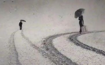 毁三观的作文7篇