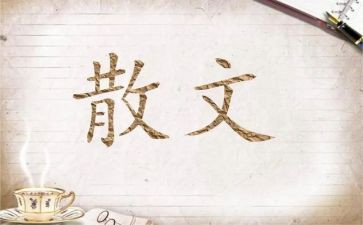 母亲的爱散文作文5篇