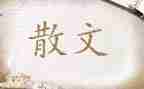林清玄散文读后感600字6篇