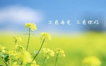 大班教师三月总结5篇