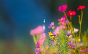 幼儿园中班三月份工作总结范文7篇