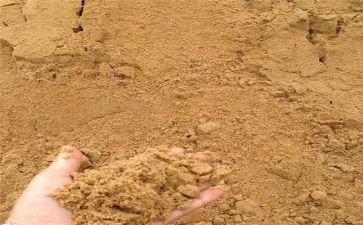 幼儿园科学沙和土教案最新5篇