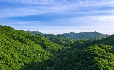 呼啸的山庄读书心得模板6篇