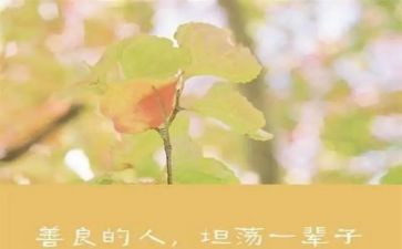 友善的我高中作文5篇