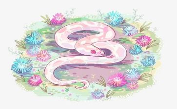 我喜欢蛇的作文模板7篇