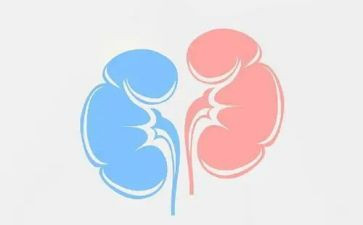 肾内科护士年终述职报告6篇