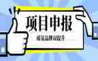 申报职称的工作总结7篇