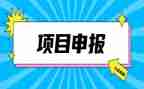 申报职称的工作总结优秀7篇
