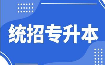 升本个人申请书6篇