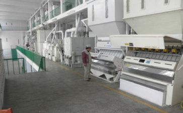 生产文员的工作总结5篇