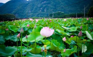 80生活调查报告优秀6篇