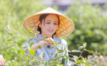 我的生活类的作文优秀8篇