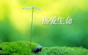 生态生命安全教案7篇