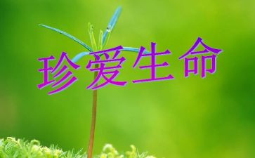 《生命,生命》读后感优质6篇
