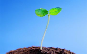 《生命生命》的读后感参考7篇