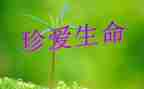《生命,生命》读后感优质6篇