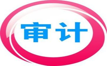 审计科工作总结及工作计划7篇