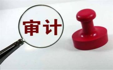 审计办总结报告推荐5篇