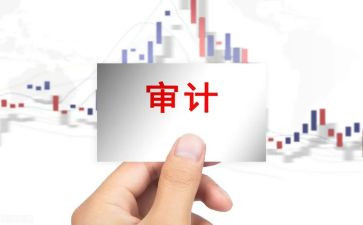 公司内部审计工作总结6篇