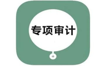 审计2024工作总结6篇