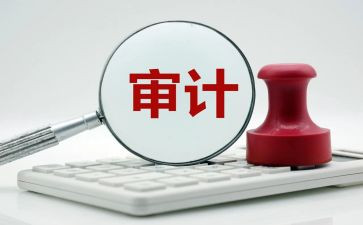 内部审计年度工作总结8篇