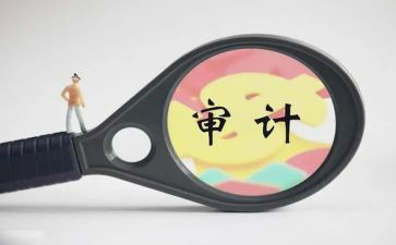 审计办总结报告最新7篇