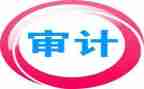 审计科工作总结及工作计划7篇