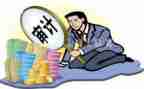 单位内部审计工作计划8篇