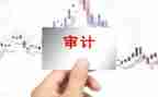 公司内部审计工作总结6篇