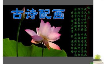 诗的作文800字优秀5篇