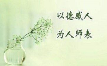 师德个人总结报告5篇