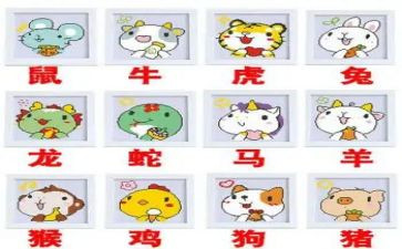 十二生肖画教案模板5篇