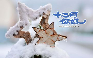 教师十二月份工作总结6篇