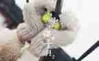 幼儿园十二月份工作计划7篇