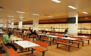 食堂工作计划和总结8篇